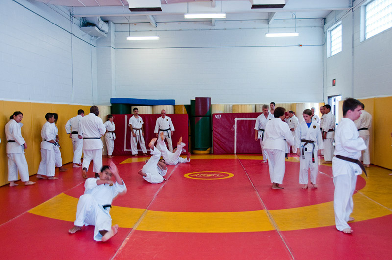 DSC-20101846