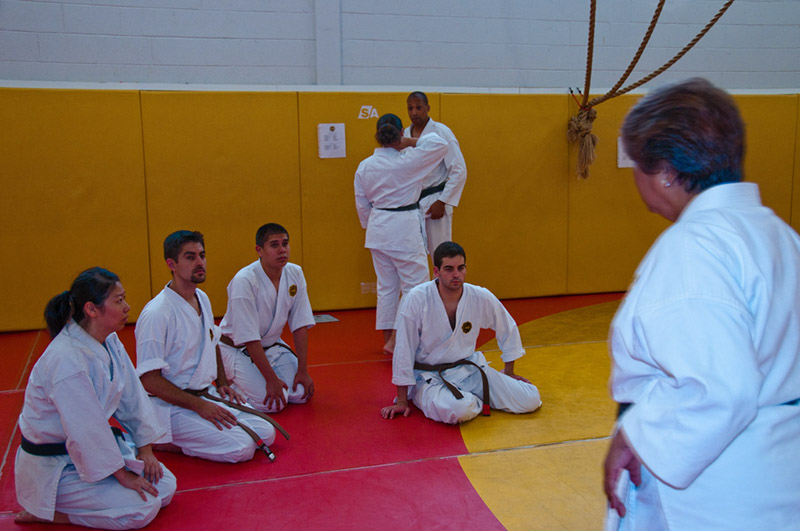 DSC-20101886
