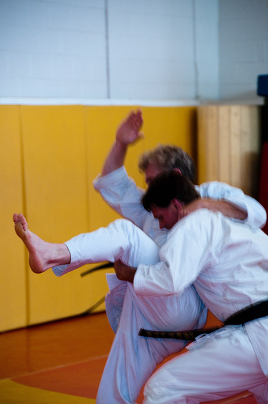 DSC-20102106