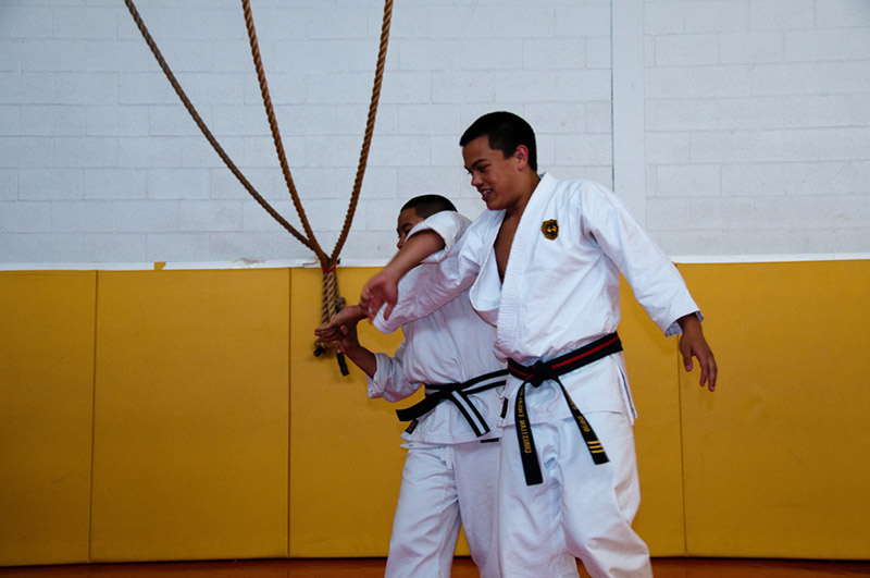 DSC-20102132