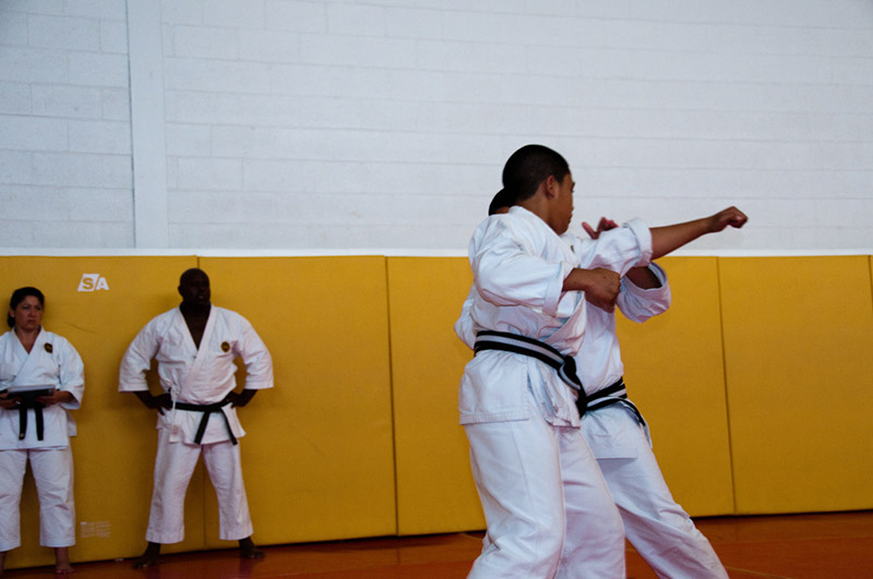 DSC-20102128