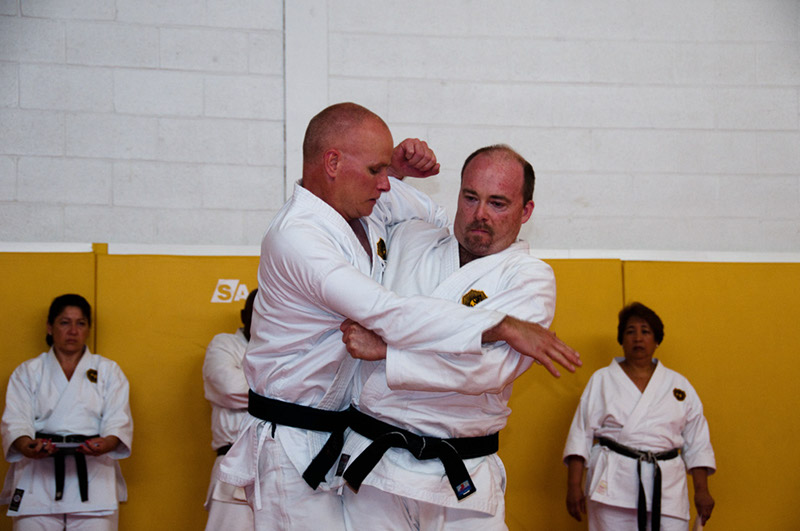 DSC-20102118