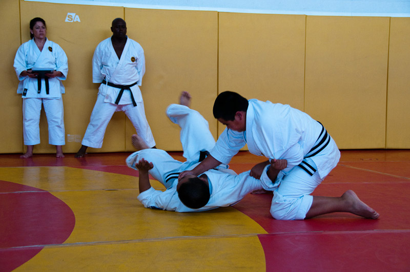DSC-20102129