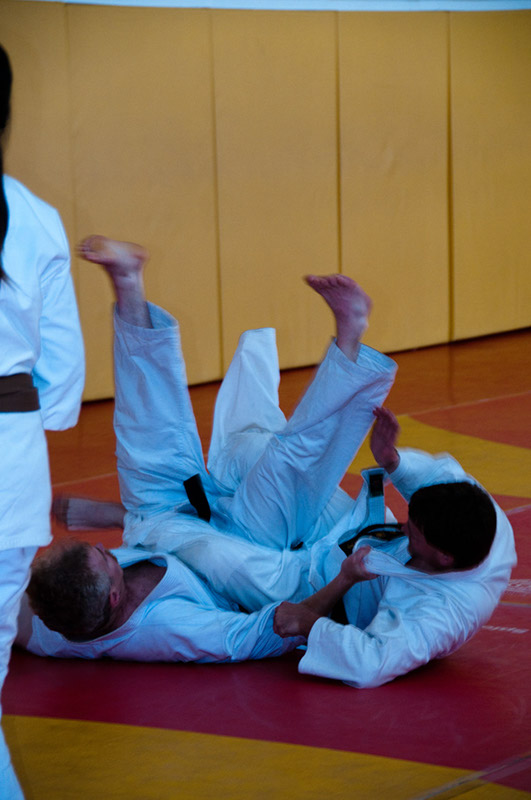 DSC-20102104
