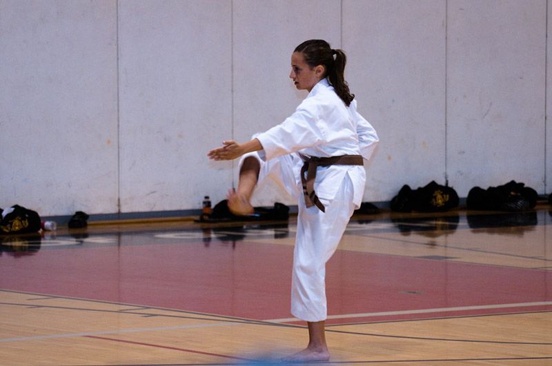 DSC-20103132