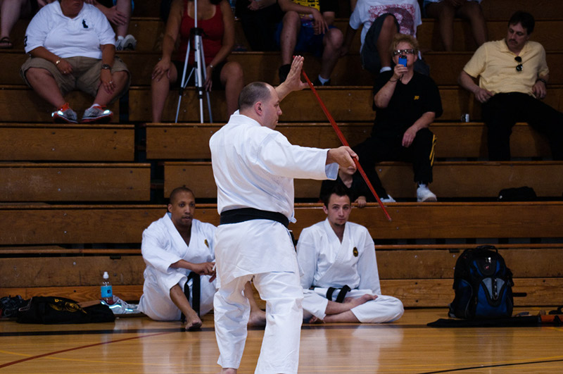 DSC-20103198