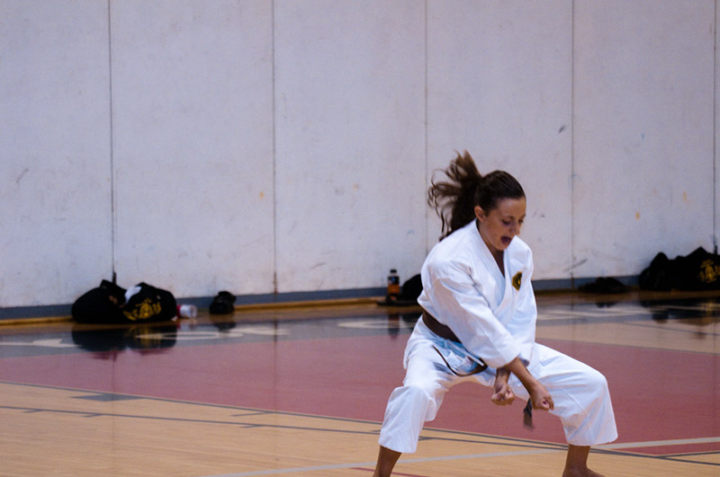 DSC-20103050