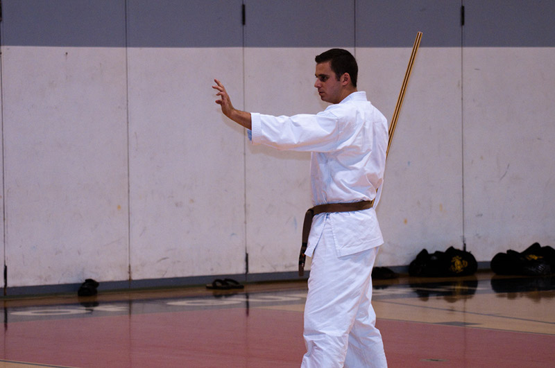 DSC-20103219