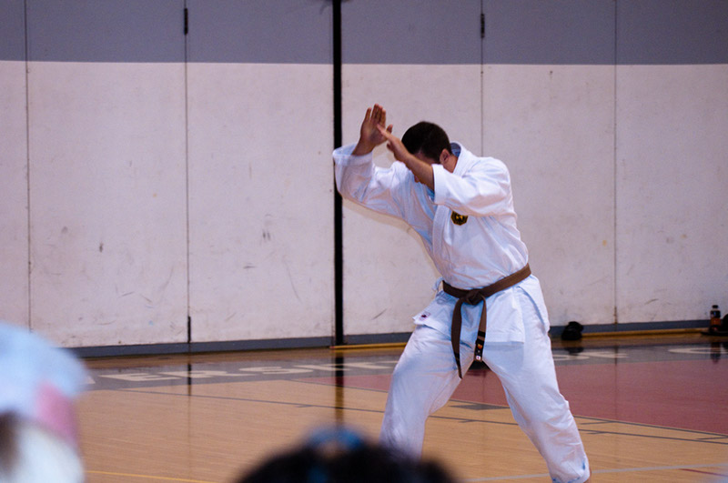 DSC-20103062
