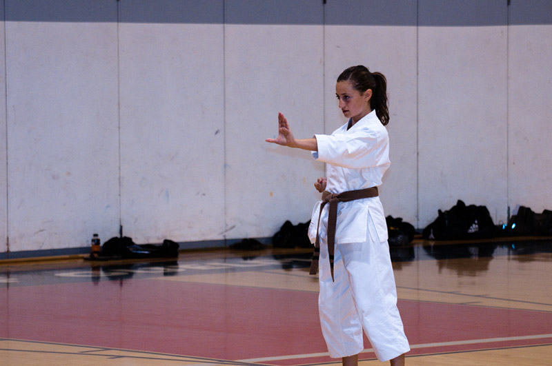 DSC-20103044