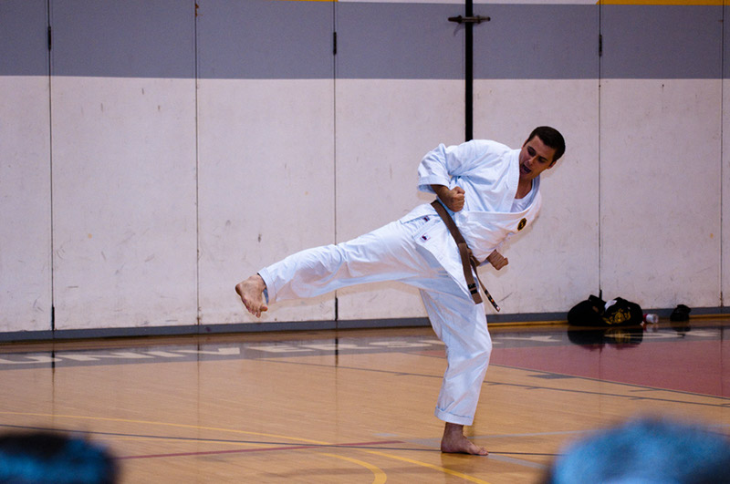 DSC-20103145