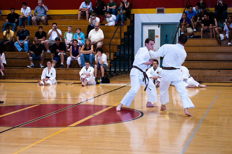 DSC-20103281