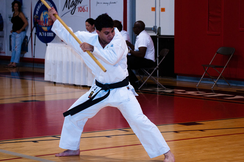 DSC-20103302