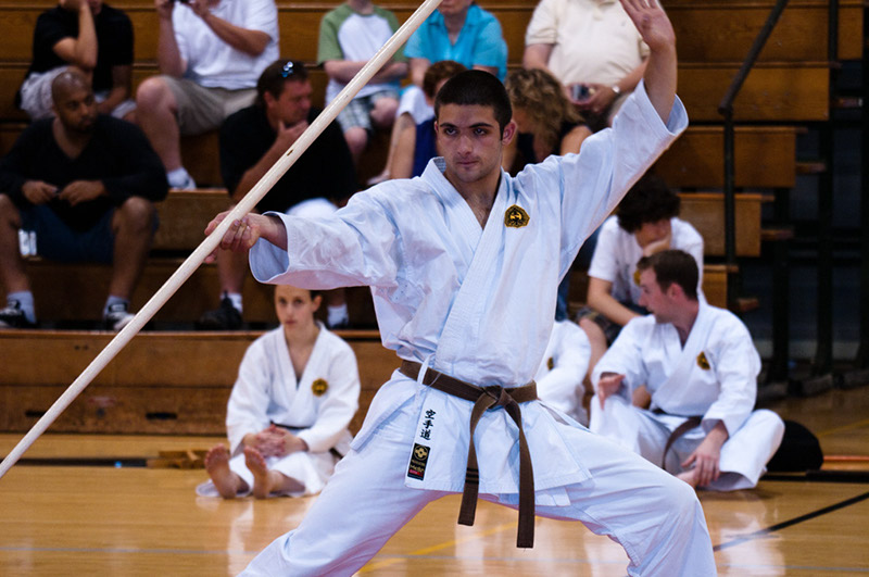 DSC-20103178