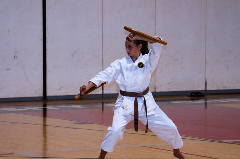 DSC-20103276